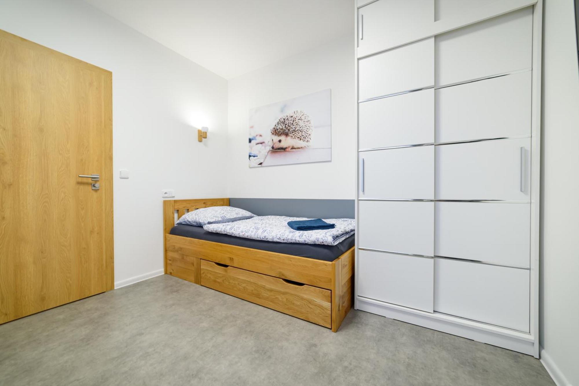 Apartment Volavka 1 *